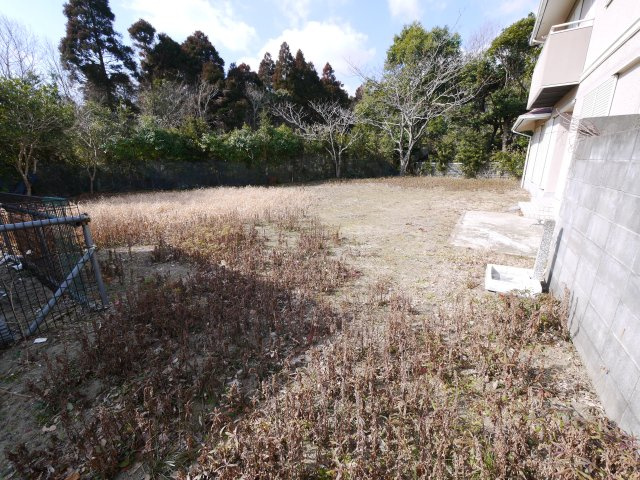 大網白里市細草　中古住宅の庭|平成29年8月内外装リフォーム済み 敷地179坪 軽量鉄骨 ドックラン・家庭菜園可能です 車多数可能