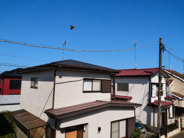 中央区緑が丘　リノベに最適な角区画の展望|隣の建物と程よく離れているため、陽当たりや風通しが良好です。