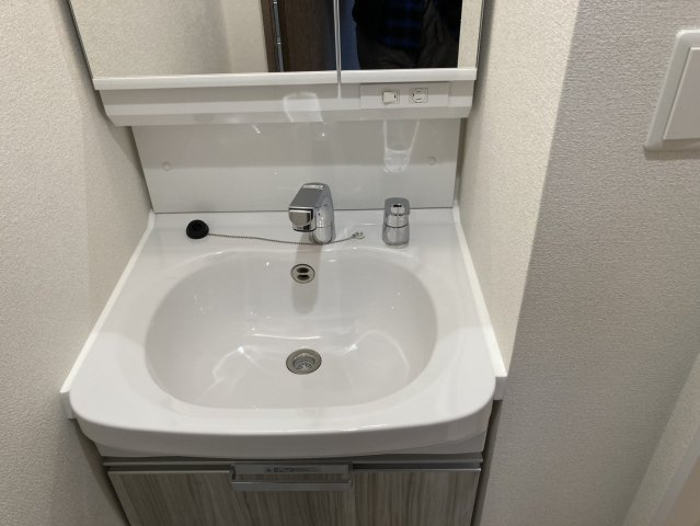 プレサンス大須観音ビザリアの洗面所