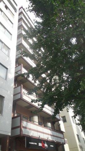 セントヒルズ白山の外観