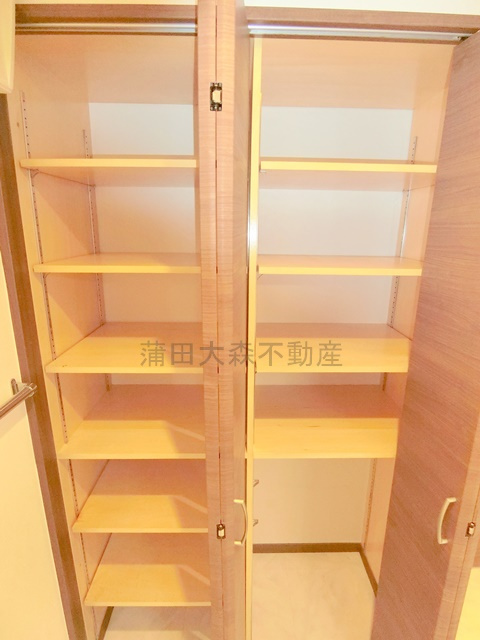 コスモリード蓮沼の収納|洗面所収納