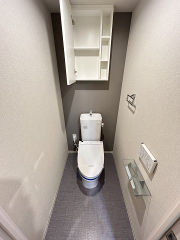 大阪市中央区北浜東の賃貸マンションのトイレ