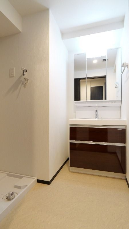 大阪市浪速区恵美須西１丁目の賃貸マンションの洗面所