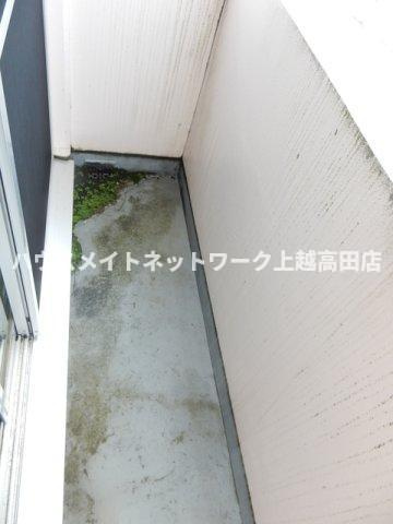 プレム南高田のバルコニー|バルコニー（参考同型202号室室内写真）