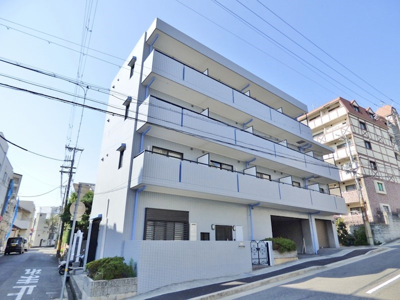 六甲ひのきの画像