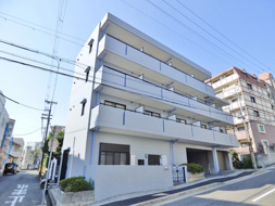 六甲ひのきの画像