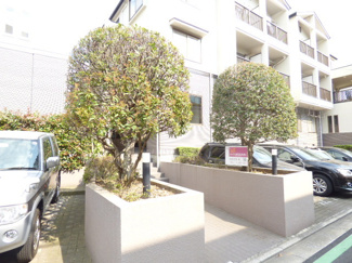 エントランス前に植栽あります