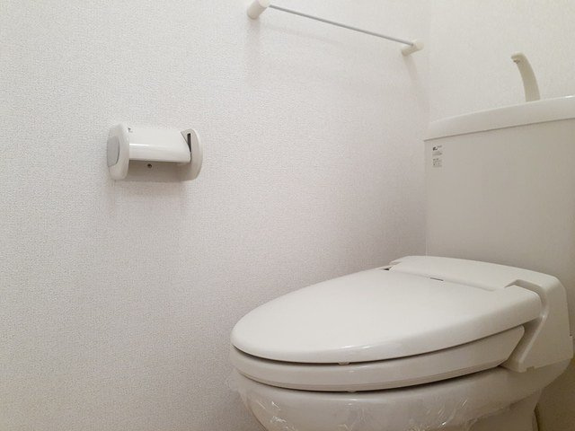 グランド・ルー　Ⅱのトイレ|清潔感のあるトイレです