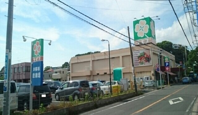 アルマナック　ハウスの周辺|ライフ市川国分店まで850m