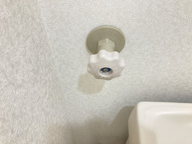 サン・ジュニアのその他