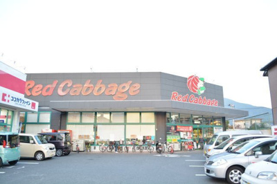【周辺】 | ワイツー・アパートメント | レッドキャベツ城野店まで650m