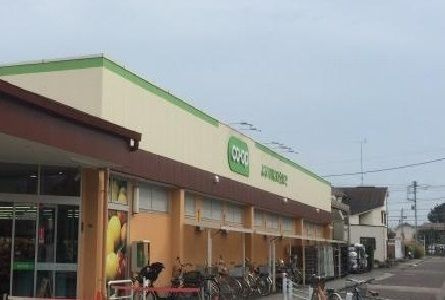 ボヌールのその他
