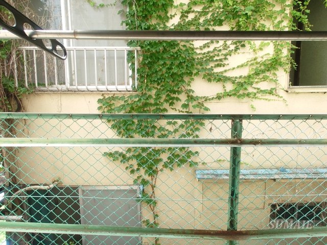 サンエール東十条の展望|お部屋からの景色です☆