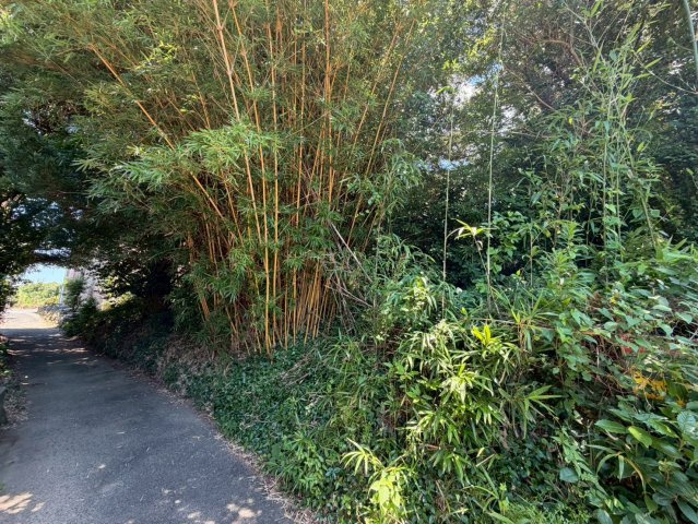 久留米市草野町紅桃林　中古戸建　のその他
