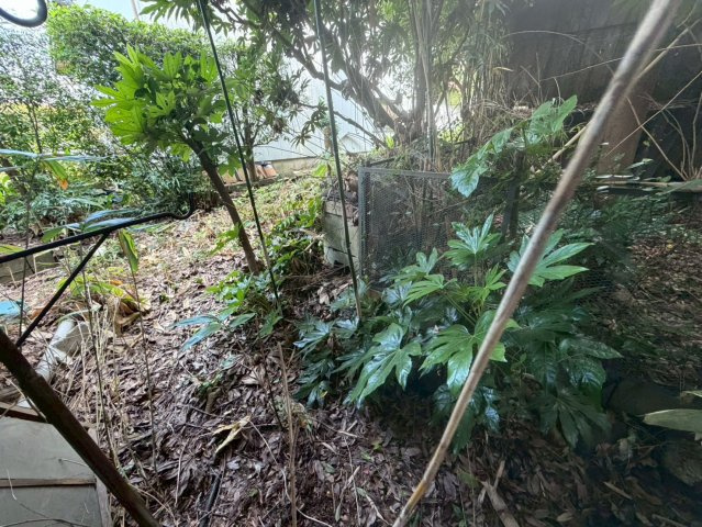 久留米市草野町紅桃林　中古戸建　のその他