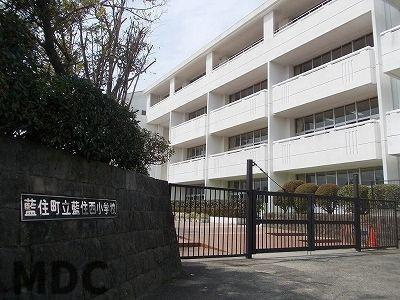 ヴァンヴェール　Ⅴのその他