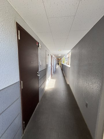 福岡市南区塩原２丁目の賃貸マンションの玄関