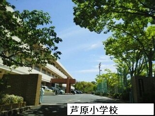 幸家　小谷Ｂの周辺|芦原小学校まで1000m