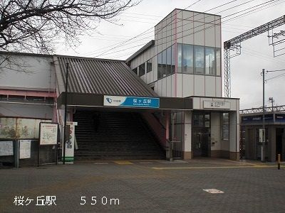 【その他】 | フロレセレッソ
