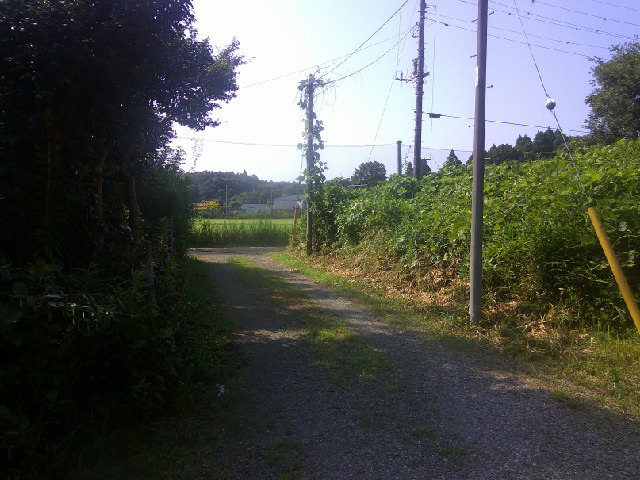 千葉市若葉区多部田町の倉庫