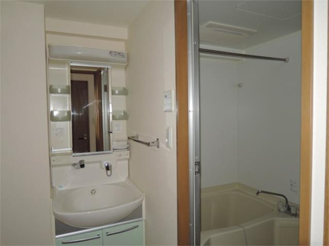 川崎市多摩区菅４丁目の賃貸マンションの洗面所