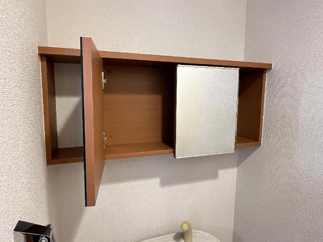 Ｐｌａｓｉｒ（プレジール）の収納|トイレ収納