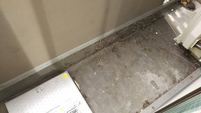 アリカ向島のバルコニー