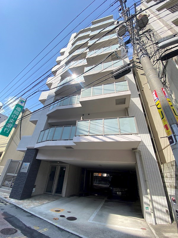 DSタワー平尾駅前レジデンスの外観