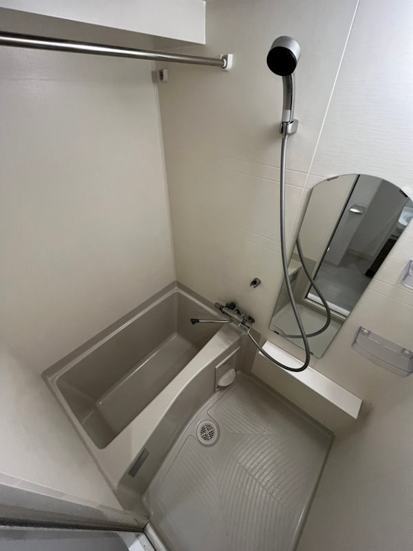 プレサンス松屋町グレースの浴室
