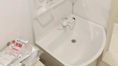 メルディア八広6丁目Ⅶの洗面所