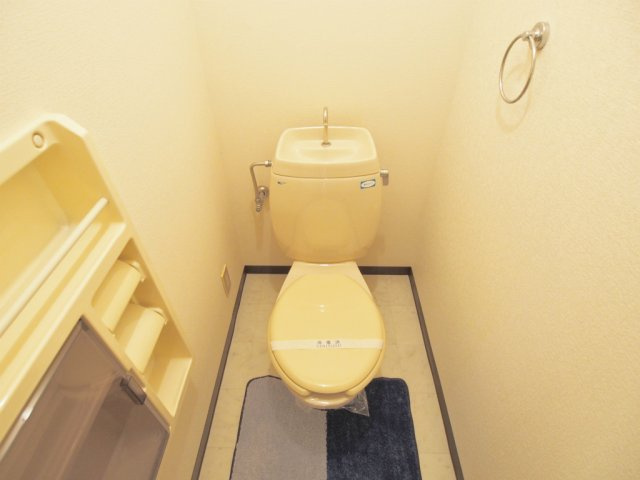 ディアスセレナKのトイレ