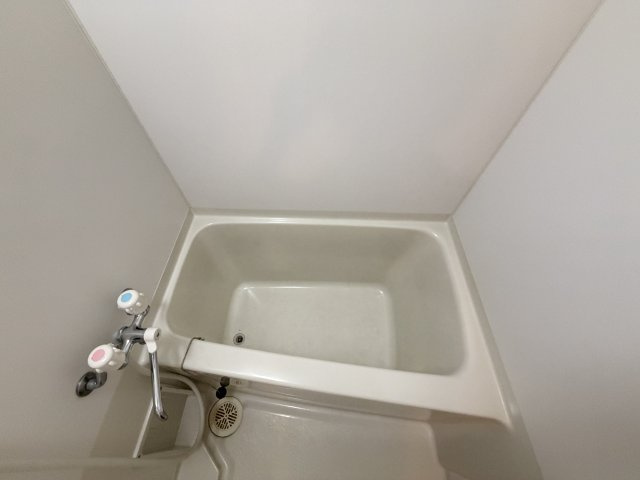 シャトーアストリアの浴室