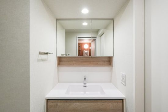リビオメゾン大岡山の独立洗面台