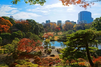 【周辺】 | 北区田端6丁目　新築戸建　B号棟 7490万円 | 都立六義園