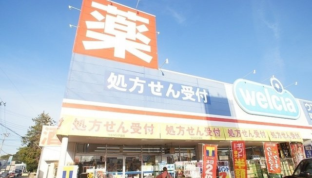 ウエルシア飯能柳町店まで230m