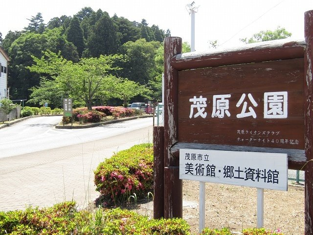 茂原公園まで900m