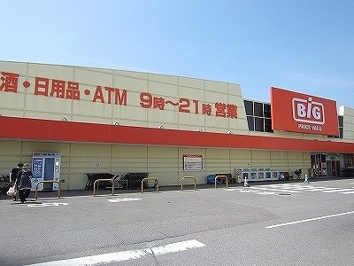 アビタシオン勝瑞Ｇの周辺|ザ・ビッグ北島店様まで1400m
