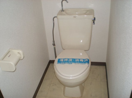 落ち着いた色調のトイレです