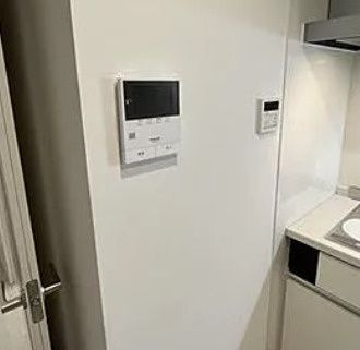 ジョルニ　フェリーチのその他