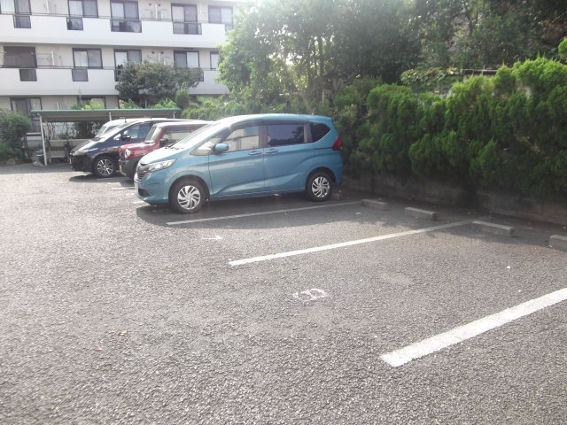 マグノリアの駐車場