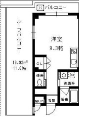 リリーセノラ