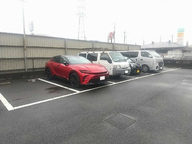 レオパレスリリーのその他