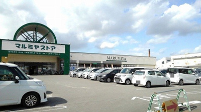 【周辺】 | 横尾マナーハウス | マルミヤストア　鶴崎森店まで1900m