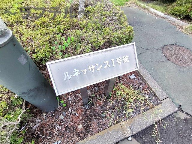 ルネッサンス小手指Ⅰ号館のその他
