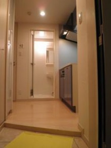 ガーラ・ステーション新富町の玄関