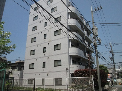 PRATIQUE SHINMARUKO