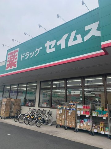 レオパレス若葉の周辺