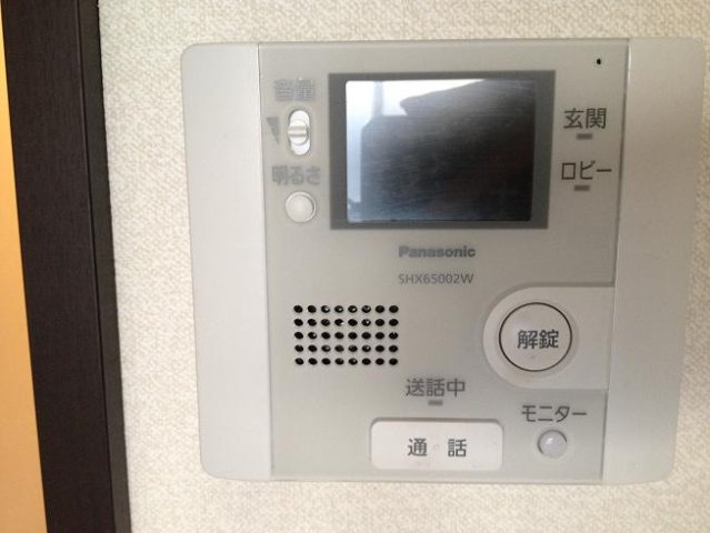 レオネクストコスモスのその他