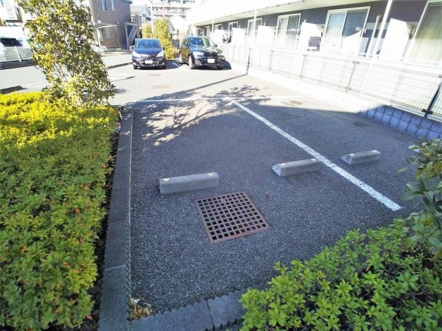 レオネクストコスモスのその他