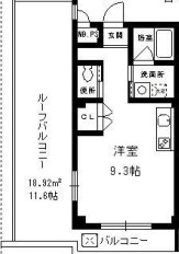 リリーセノラ